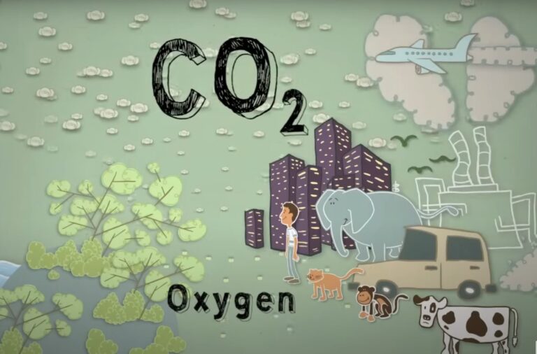 What Does Carbon Dioxide Smell Like A Simple Explanation